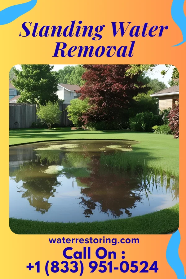 Standing Water Removal in Cashion, OK